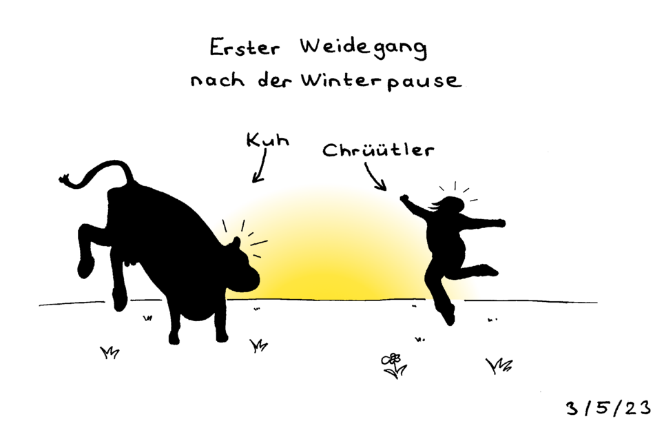 Erster Weidegang nach der Winterpause.