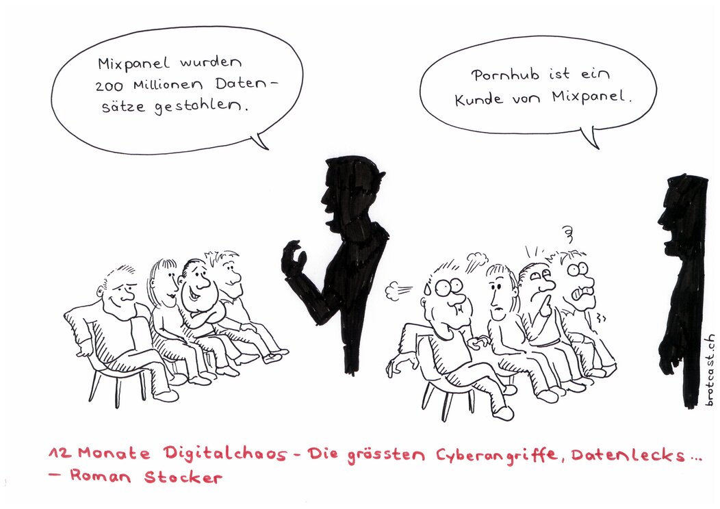Cartoon zu “12 Monate Digitalchaos”